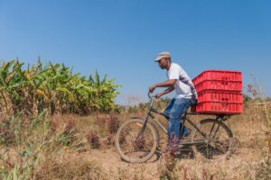 WBR Economic Development3 1 Trek and World Bicycle Relief announce joint holiday campaign, Buffalo Bicycle named 'Bike of the Year'