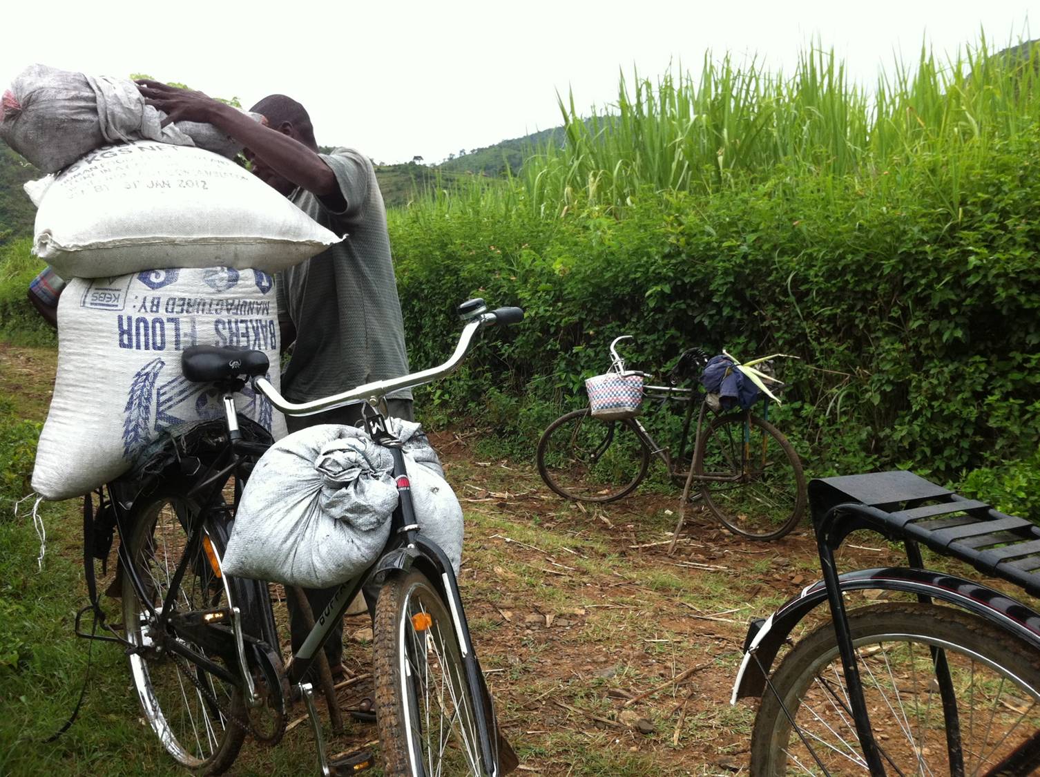 WBR Heavy Loads2 World Bicycle Relief expands into Tanzania