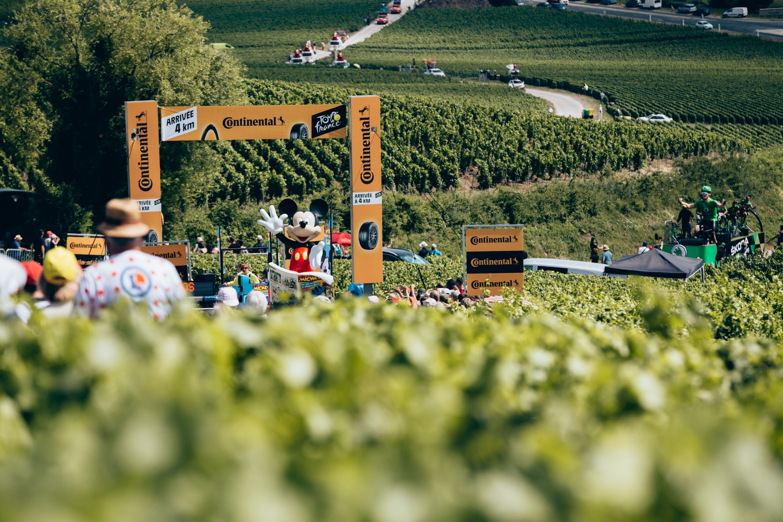 ZyroFisher to distribute Continental in UK and Ireland