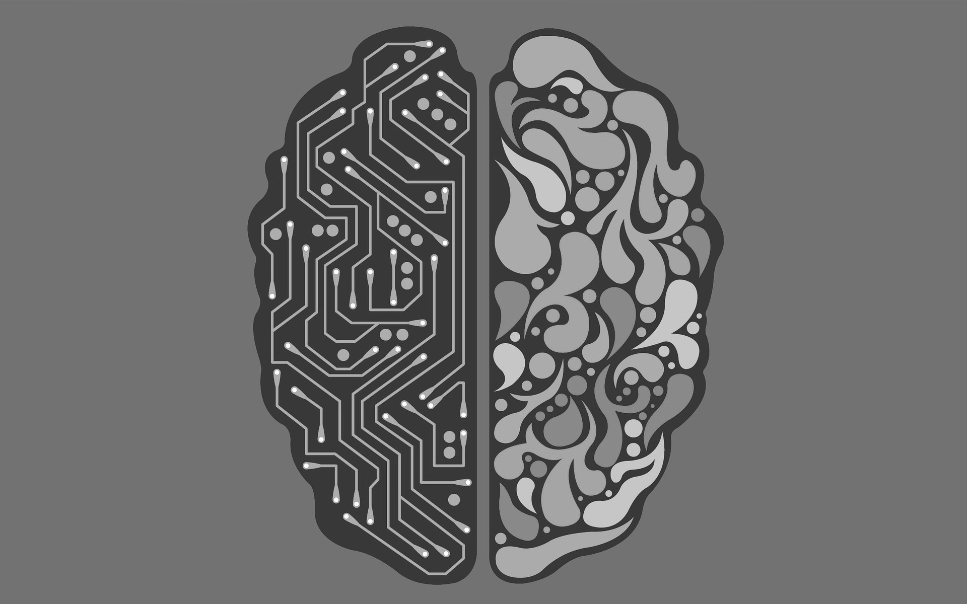 USA Cycling tackles neuroscience in new partnership