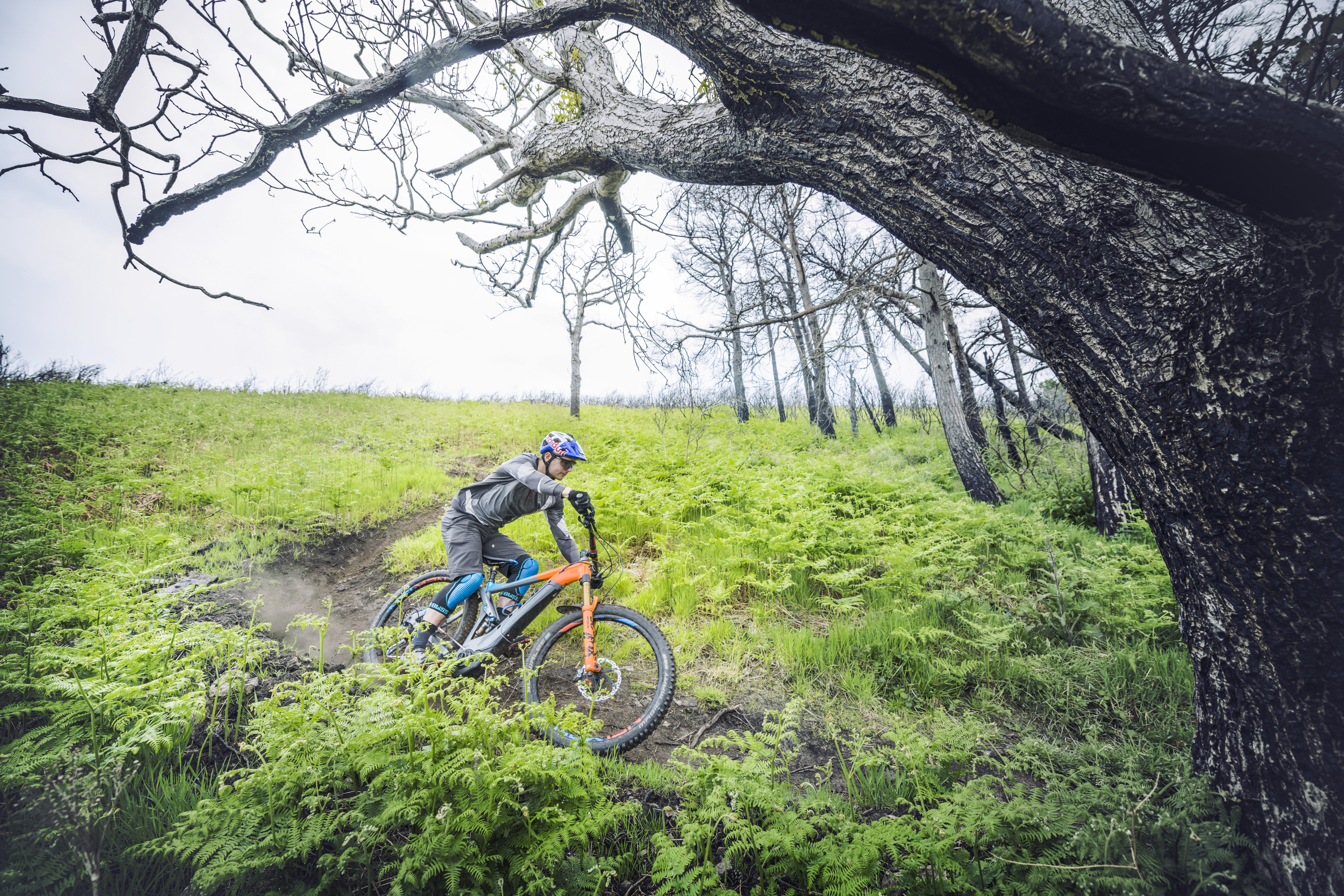 Cube Bikes to attend Scottish Cycling, Running and Outdoor Pursuits Show