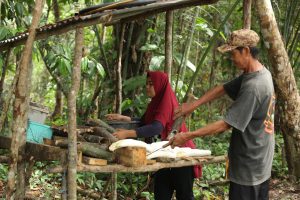 d450e67e dcd0 4ec9 923e 99723b1d5f01 Continental using responsibly sourced natural rubber from Indonesia in Gravity tyres production