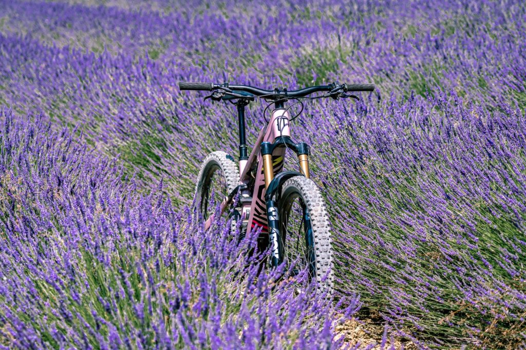 election EBIKE of the year 2025 "Bikes have the power to change lives." How Moustache Bikes is more than just an e-mobility brand