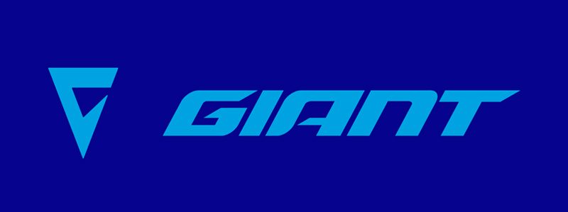 giant default share image 1 e1782731917337 Store Manager