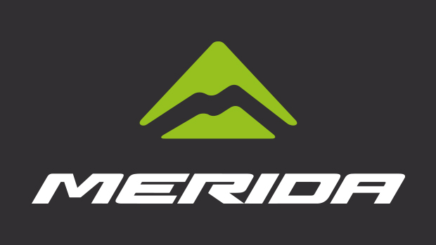E-bike revenue could reach 30 per cent of trade for Merida
