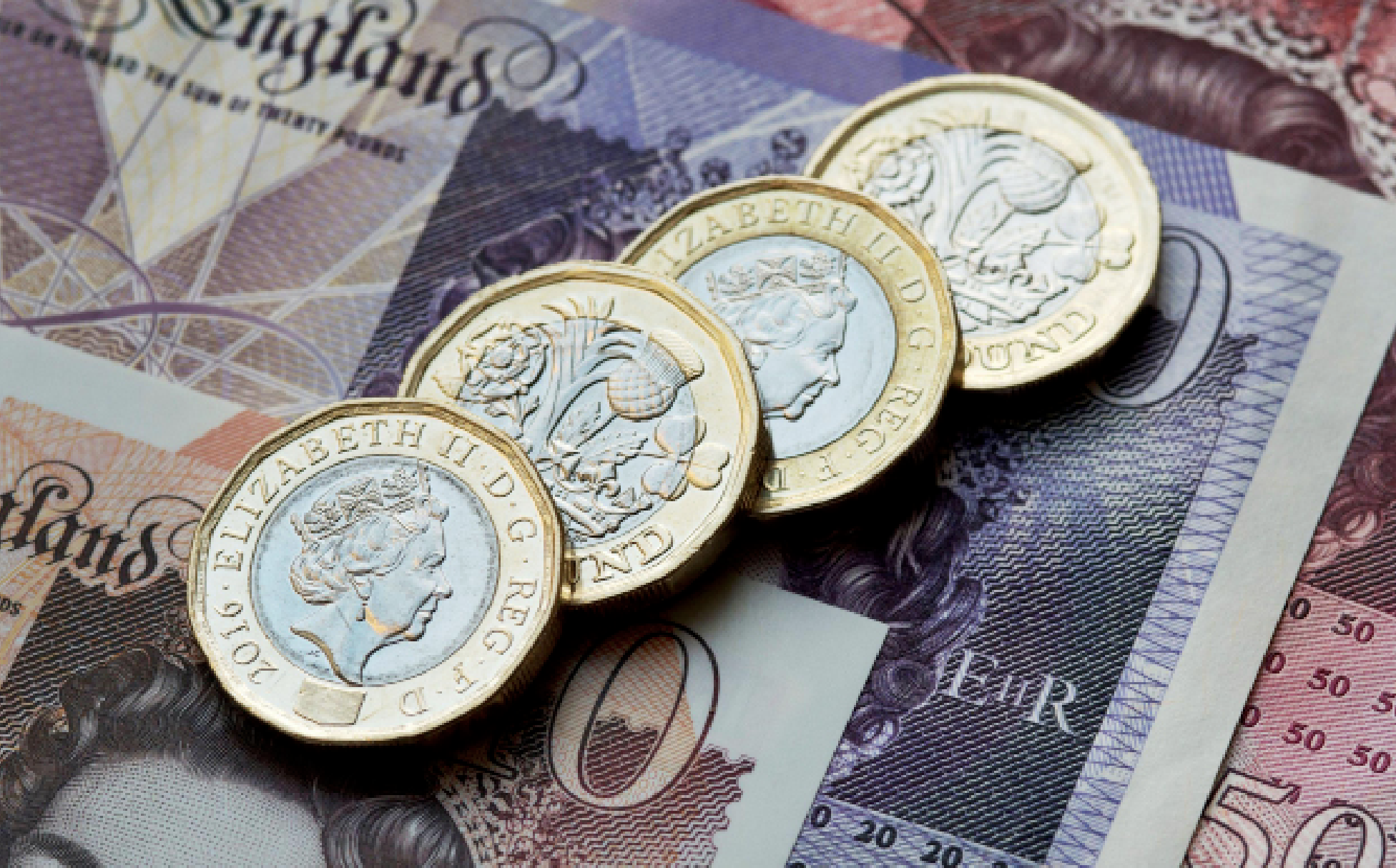 So, you want to expand your business?