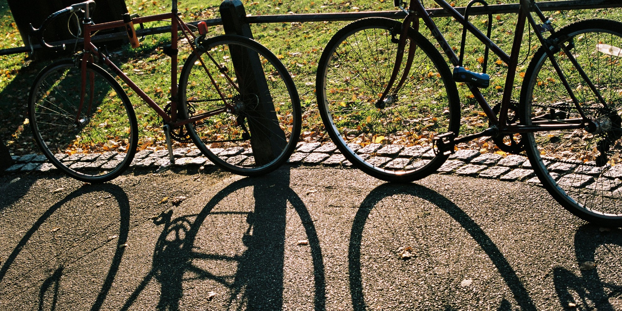 Sir Chris Whitty one of four senior figures appointed to Active Travel England advisory panel