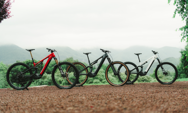 Megamo Launches the New RYAL: Avinox powered EMTB with removable battery