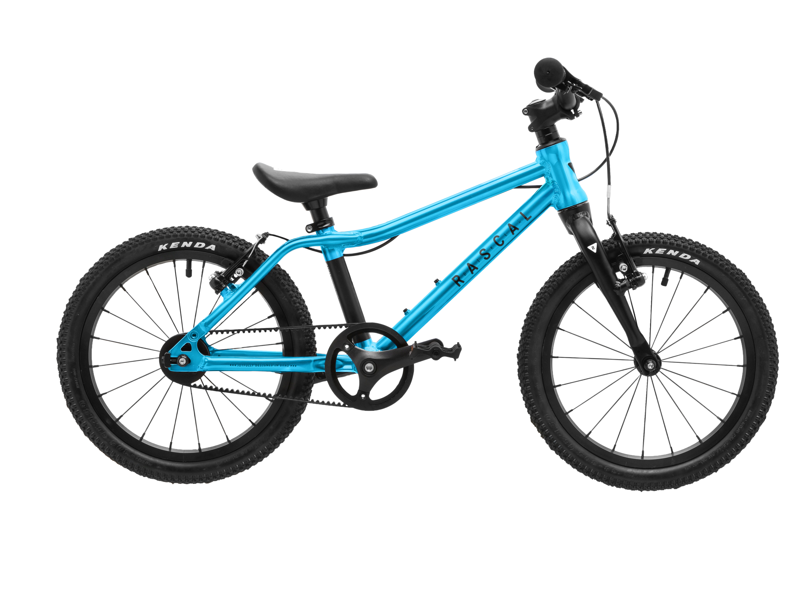 Rascal 16" Bike in blue