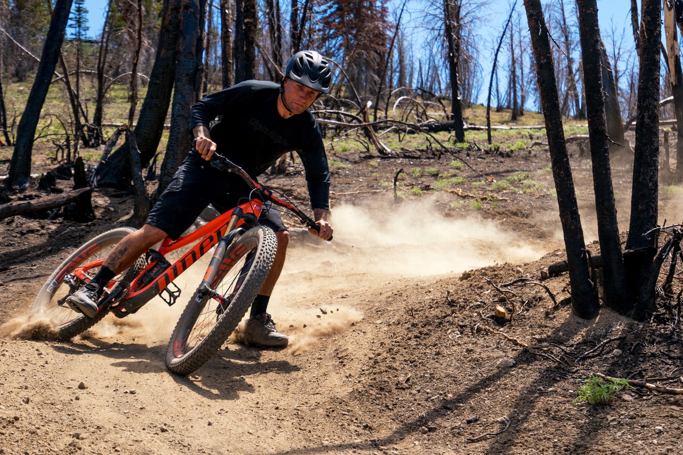 Niner now available at Hotlines