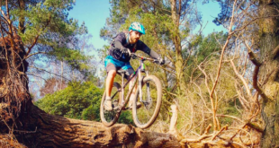 screen shot 2018 05 01 at 085036 Kona expands UK sales team