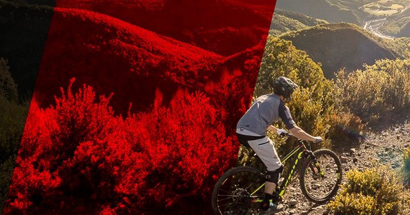 Leatt releases second quarter 2019 results