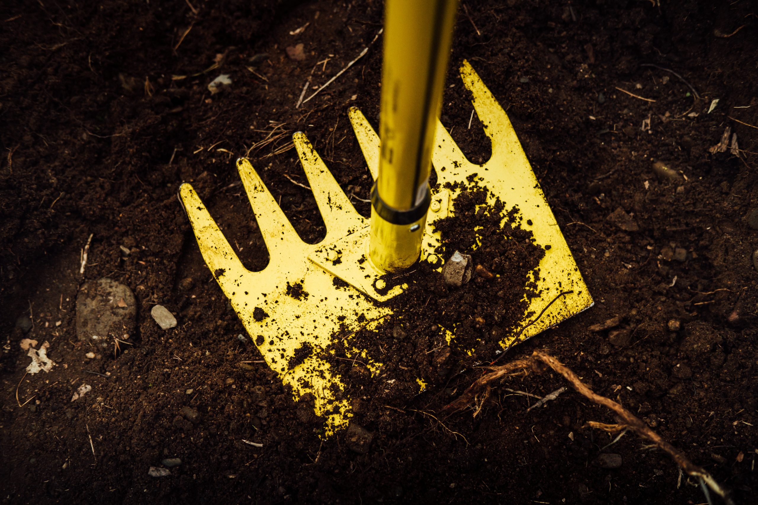 tim foster gKRXUk6tdL4 unsplash scaled New project launched to create sustainable future for mountain bike trails across the UK