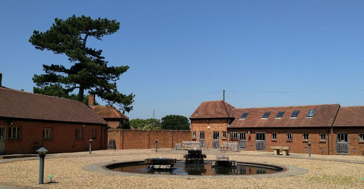 Sports Marketing Surveys expands retail audit team with Aneesa Ali appointment