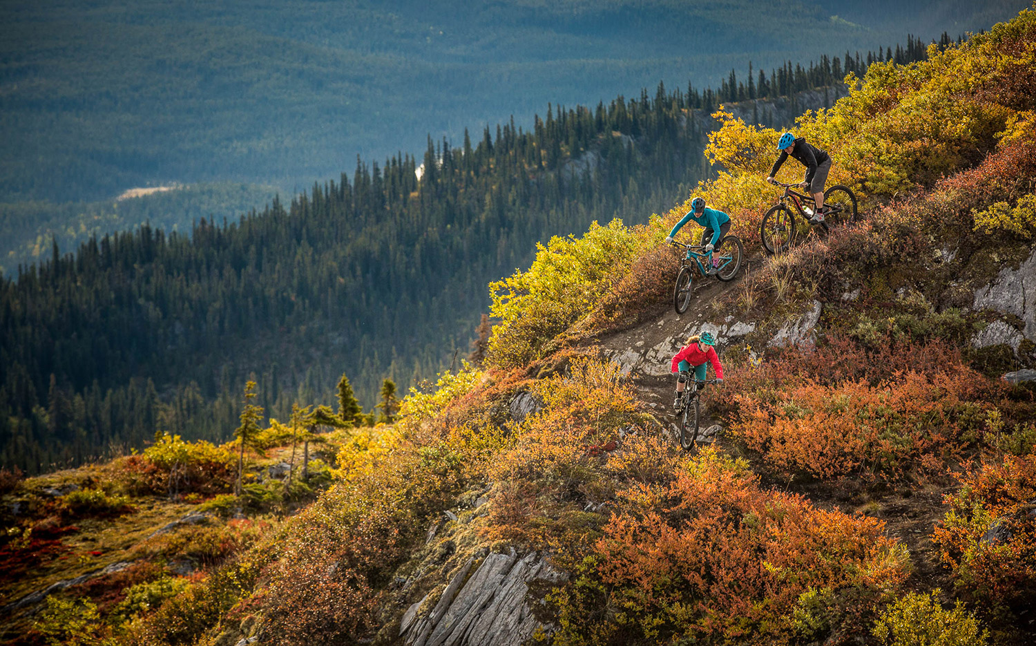 7mesh announces new distribution in France, Italy and Benelux